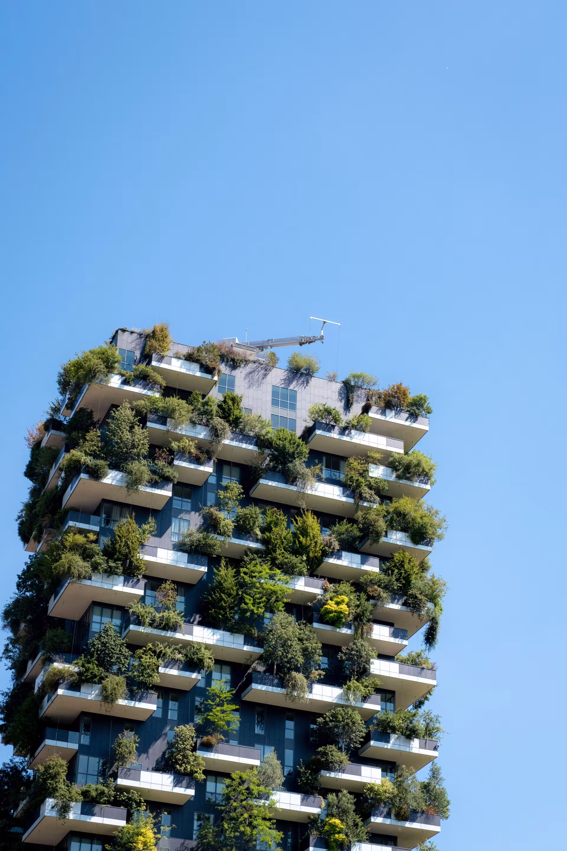 Immeuble résidentiel avec façades végétalisées et arbres intégrés aux balcons sous un ciel dégagé.
